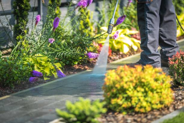Best Warehouse Cleaning  in Cheswick, PA